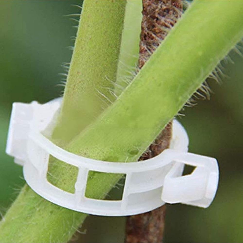 Plant Support Garden Clips, 200PCS Tomato Clip, Crop Clip, Vine Fixing Clips for Tomato, Sweet Pepper, Eggplant, Fruit Vegetables and Indoor Plants - Flymaster Shop