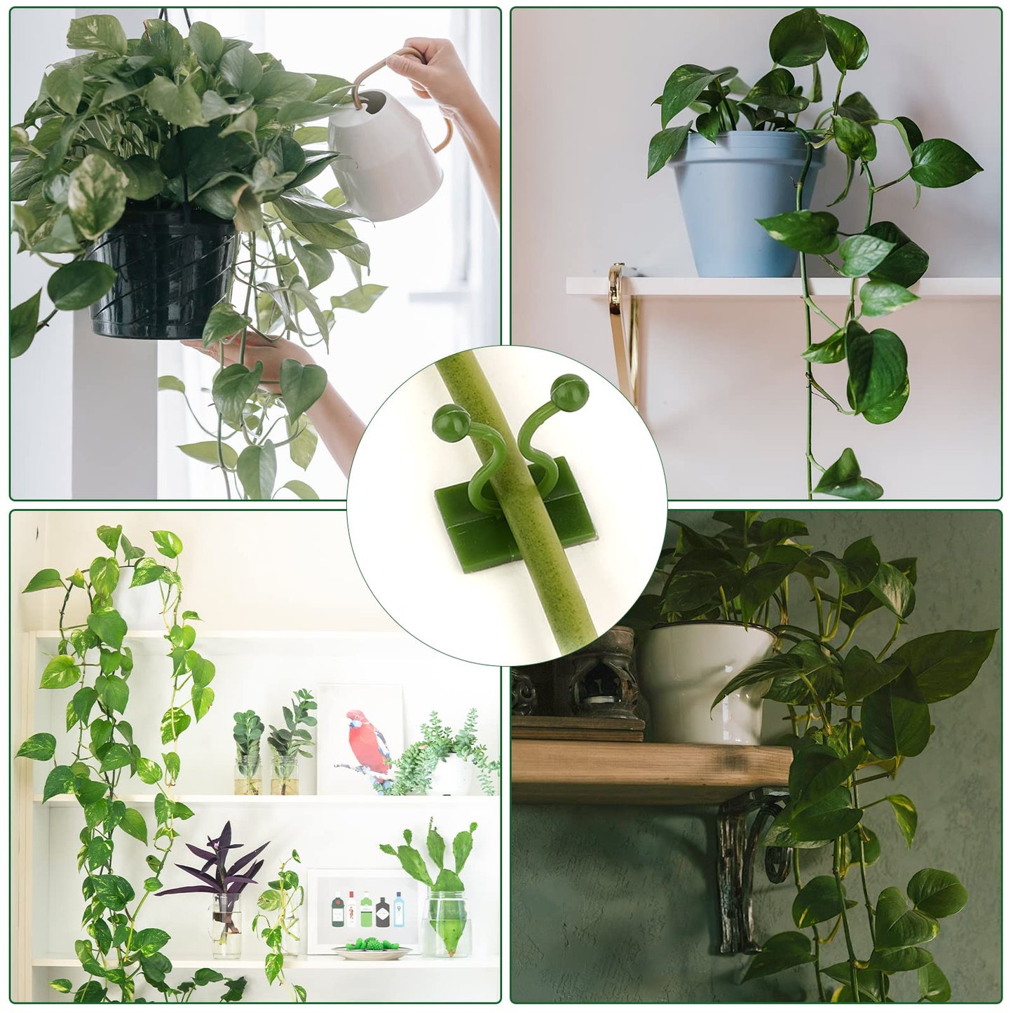 ® 50Pcs Wall Fixture Clips for Plant Climbing Vine Plant Climbing Wall Fixer Self-Adhesive Hook, Wall Vines Fixture Wall Hook Vines Climbing Clip for Home (Green) - Flymaster Shop