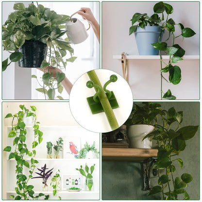 ® 50Pcs Wall Fixture Clips for Plant Climbing Vine Plant Climbing Wall Fixer Self-Adhesive Hook, Wall Vines Fixture Wall Hook Vines Climbing Clip for Home (Green) - Flymaster Shop