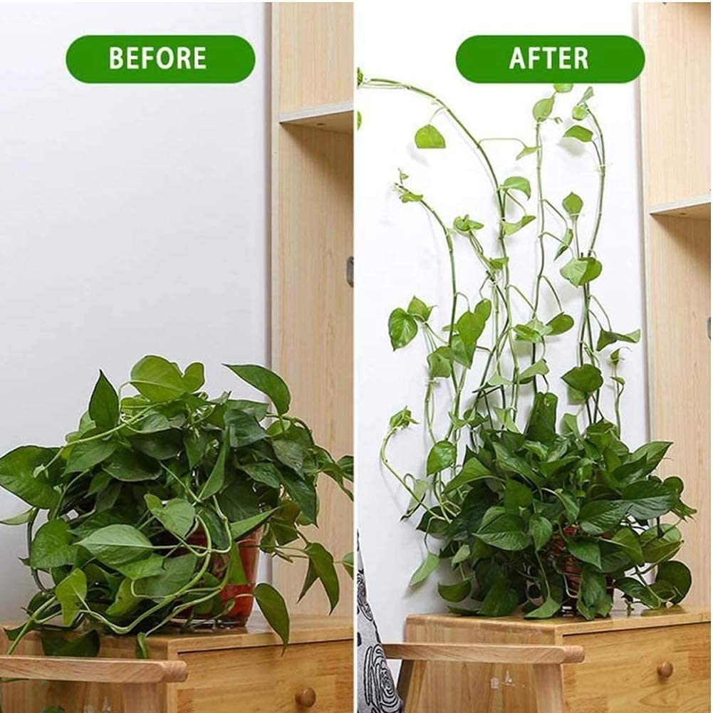 ® 50Pcs Wall Fixture Clips for Plant Climbing Vine Plant Climbing Wall Fixer Self-Adhesive Hook, Wall Vines Fixture Wall Hook Vines Climbing Clip for Home (Green) - Flymaster Shop