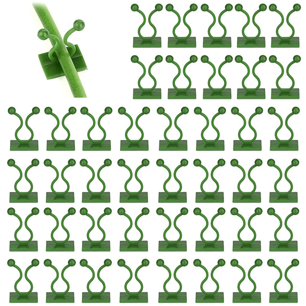 ® 50Pcs Wall Fixture Clips for Plant Climbing Vine Plant Climbing Wall Fixer Self-Adhesive Hook, Wall Vines Fixture Wall Hook Vines Climbing Clip for Home (Green) - Flymaster Shop