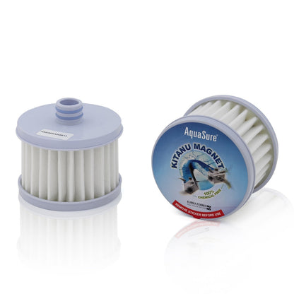 Eureka Forbes Aquasure Amrit Twin Cartridge