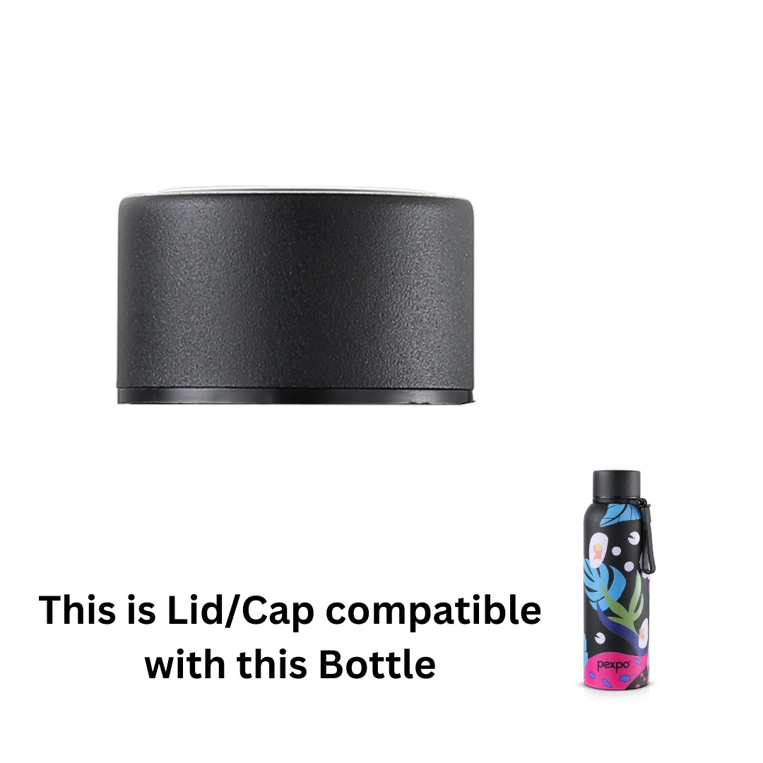 Pexpo Bravo Art Steel Cap/Lid | Compatible Replacement Steel Lid for Pexpo Bravo Art Bottles | Non-Original Bottle Cap