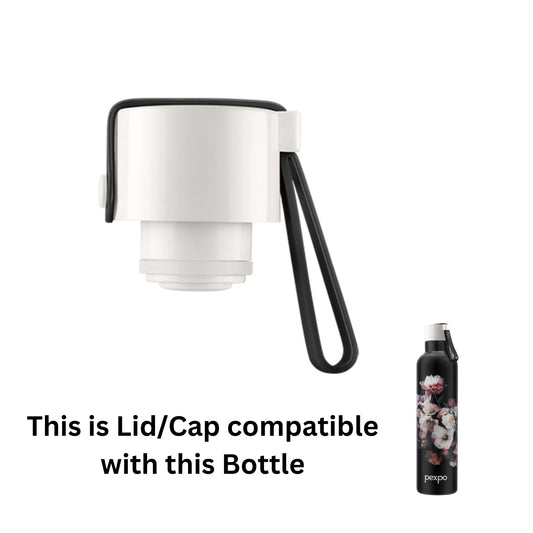 Pexpo Oslo Art Screw Cap/Lid | Compatible Replacement Screw Lid for Pexpo Oslo Art Bottles | Non-Original Bottle Cap