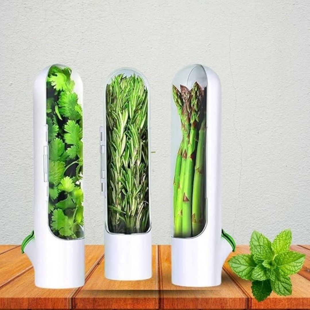 Herb Savor Pod, Pack of 1, Keep Herbs Fresh Naturally, Revolutionize Your Kitchen,BPA-Free Solution,Fridge Small Produce Vegetable Keeper Herbs Storage. - Flymaster Shop