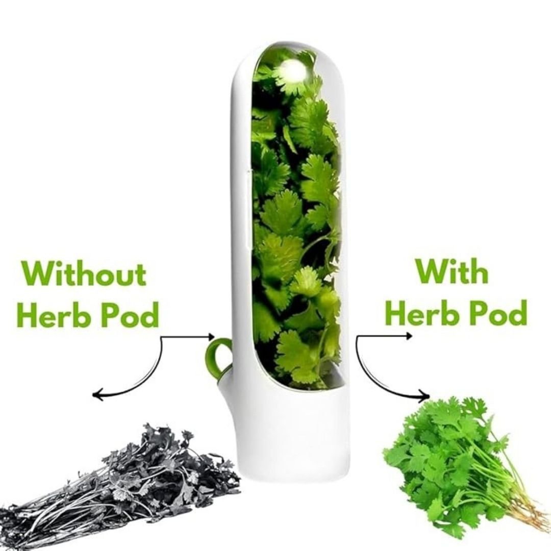 Herb Savor Pod, Pack of 1, Keep Herbs Fresh Naturally, Revolutionize Your Kitchen,BPA-Free Solution,Fridge Small Produce Vegetable Keeper Herbs Storage. - Flymaster Shop