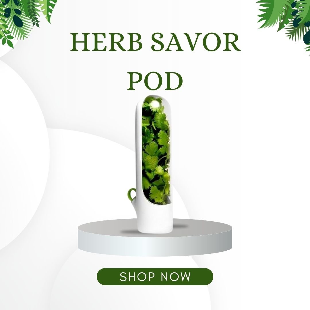 Herb Savor Pod, Pack of 1, Keep Herbs Fresh Naturally, Revolutionize Your Kitchen,BPA-Free Solution,Fridge Small Produce Vegetable Keeper Herbs Storage. - Flymaster Shop