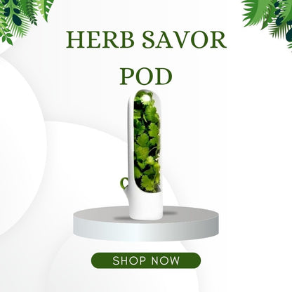 Herb Savor Pod, Pack of 1, Keep Herbs Fresh Naturally, Revolutionize Your Kitchen,BPA-Free Solution,Fridge Small Produce Vegetable Keeper Herbs Storage. - Flymaster Shop